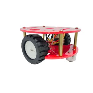 CHASIS DE POLOLU ACRILICO DE 2 RUEDAS